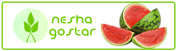 Watermelon banner - هندوانه
