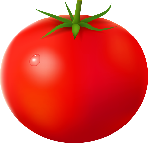 tomato PNG12599 - نشاء گوجه فرنگی