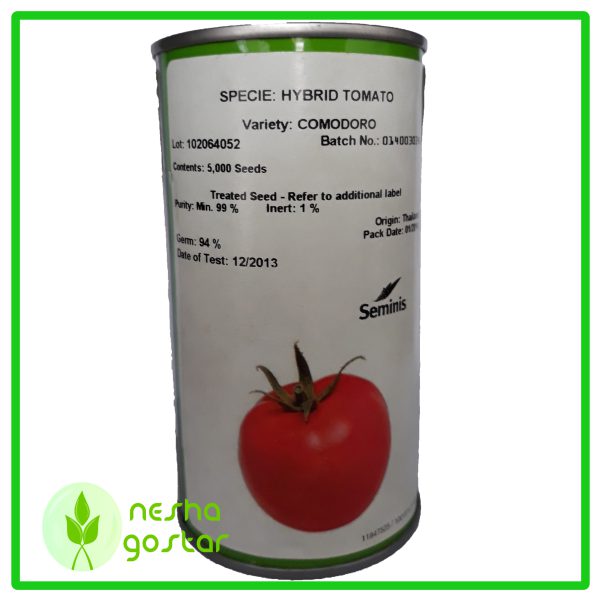 ۲۰۱۹۰۲۲۲ ۱۲۴۲۲۳1 scaled - بذر گوجه فرنگی هیبرید کومودورو سمینیس